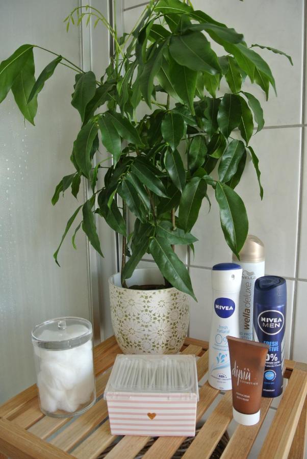 Rheinau Apartment מראה חיצוני תמונה